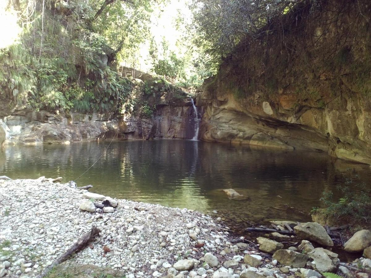 فيلا Domaine Vista Linda La Casita Del Loma Vista Mar Río San Juan المظهر الخارجي الصورة